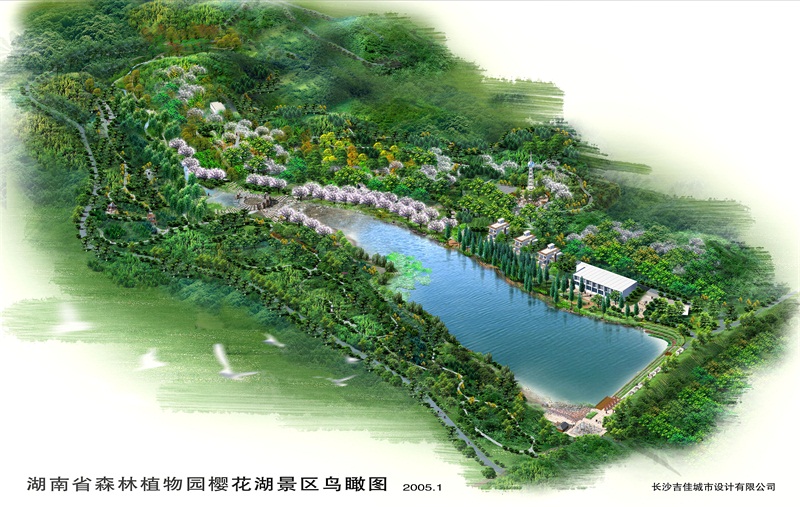 湖南省森林植物园樱花湖景区规划设计